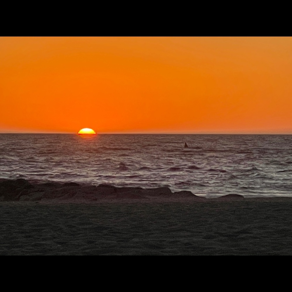 Meet your Posher, Denys